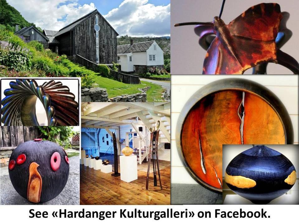 Byrkjeleite - Modernized House With 5 Bedrooms Herand Exteriör bild